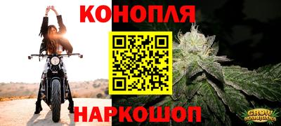 сатива Нальчик